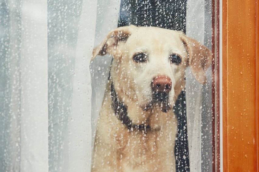 Should I File a Wrongful Death Lawsuit